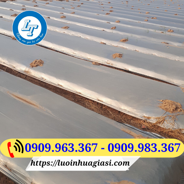 ỨNG DỤNG & VAI TRÒ CỦA MÀNG PHỦ NÔNG NGHIỆP màng phủ nông nghiệp