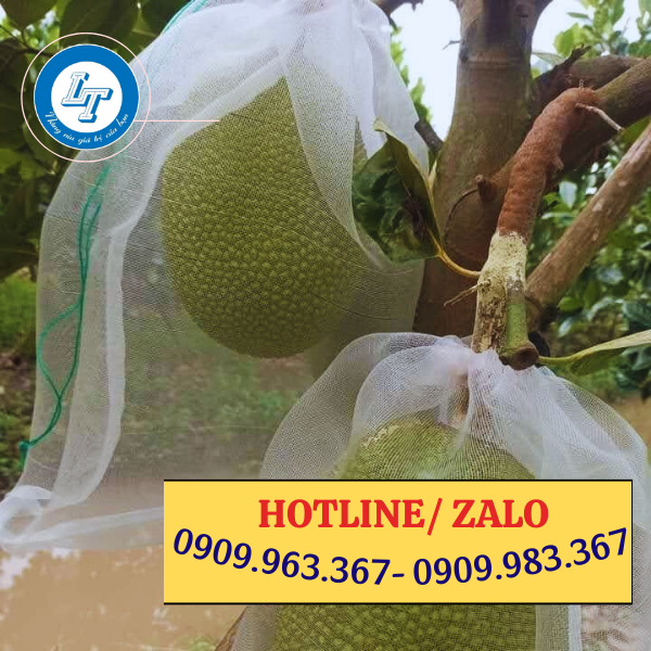 MUA TÚI BỌC TRÁI CÂY, RAU QUẢ CHỐNG CÔN TRÙNG Ở ĐÂU GIÁ RẺ túi lưới bao mít