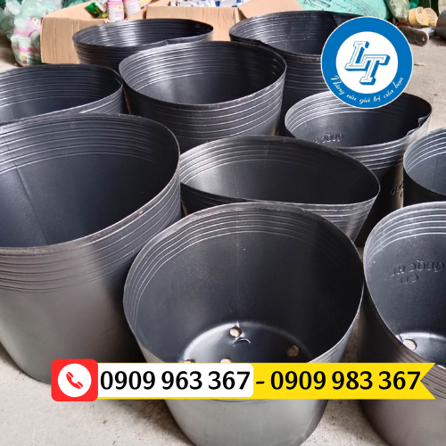 Chậu nhựa ươm cây giống mua ở đâu giá rẻ chậu nhựa trồng cây