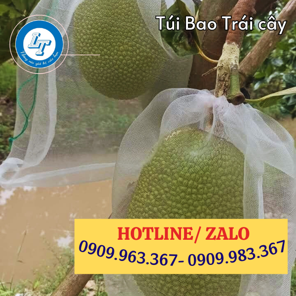 TÚI LƯỚI BỌC BẢO VỆ TRÁI CÂY GIÁ SỈ túi lưới bao mít