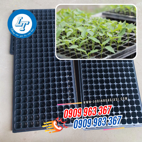 KHAY ƯƠM HẠT GIỐNG KHAY ƯƠM HẠT GIỐNG