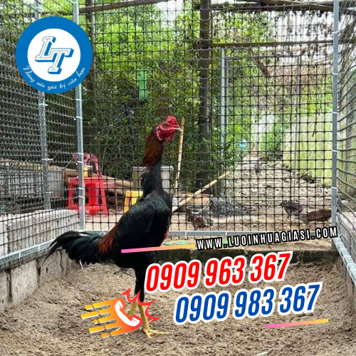 MUA LƯỚI NHỰA DẺO Ô VUÔNG RÀO VƯỜN Ở ĐÂU GIÁ RẺ? lưới nhựa dẻo rào vườn nuôi gà