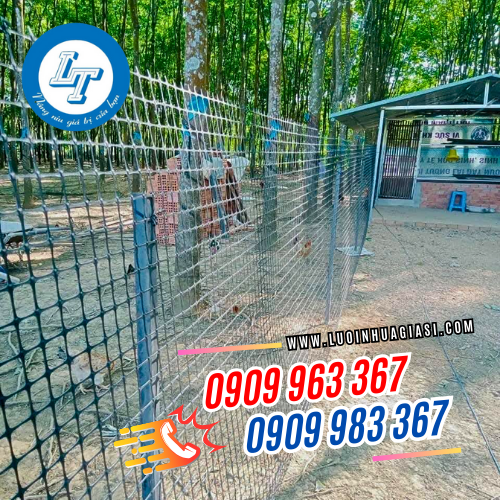 MUA LƯỚI NHỰA DẺO Ô VUÔNG RÀO VƯỜN Ở ĐÂU GIÁ RẺ? lưới nhựa dẻo rào vườn