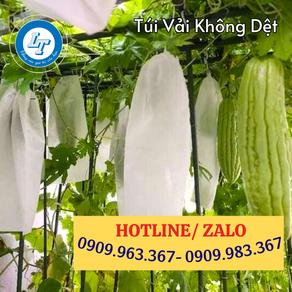 NƠI BÁN TÚI BAO KHỔ QUA NGĂN ONG CHÍCH GIÁ RẺ NHẤT túi bao khổ qua