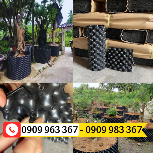 MUA TẤM NHỰA LÀM CHẬU CÂY Ở ĐÂU GIÁ RẺ, UY TÍN bầu ươm cây thông minh