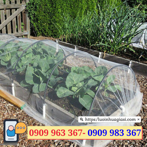 Lưới chống côn trùng nông nghiệp giá rẻ lưới mùng trắng trồng cây