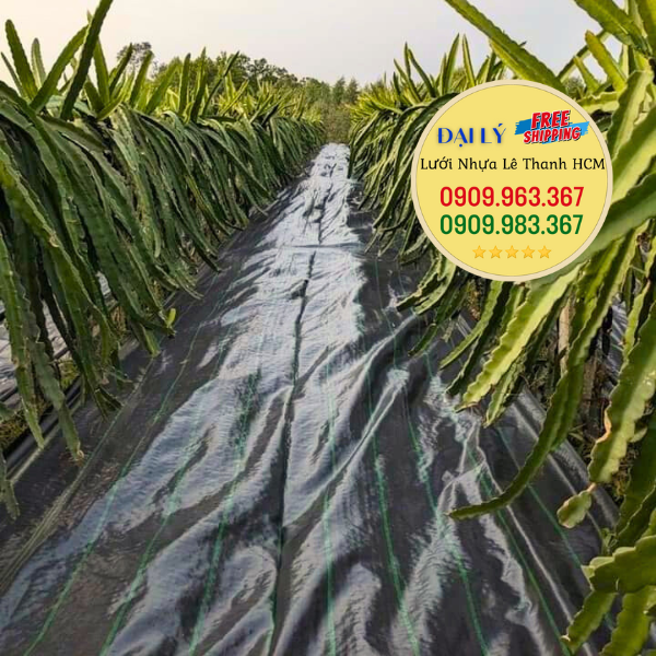 Nơi bán bạt phủ đất chống cỏ trồng cây giá rẻ nhất miền Nam bạt phủ đất chống cỏ