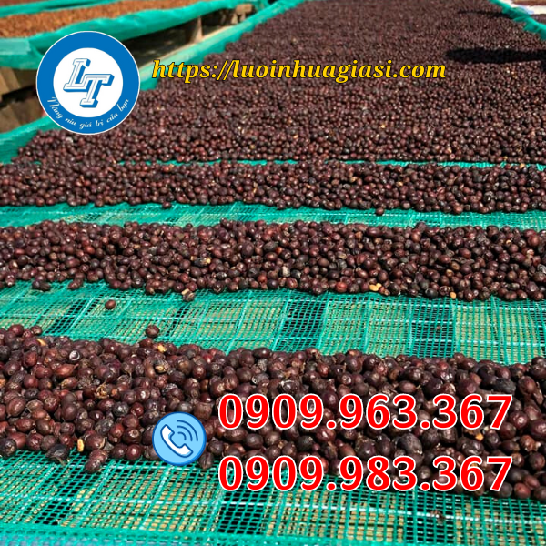 LƯỚI CỌ XANH, TRẮNG GIÁ RẺ lưới phơi nông sản