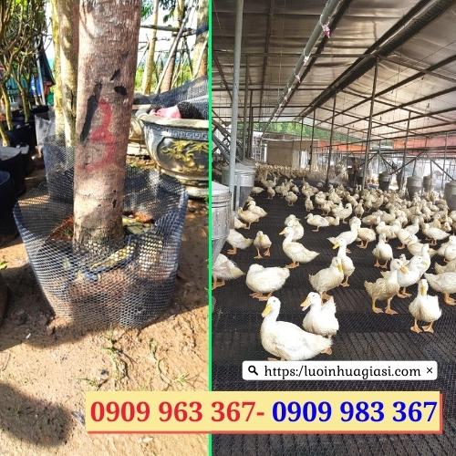 Nơi bán lưới nhựa mắt cáo nhiều màu giá rẻ chất lượng lưới nhựa mắt cáo đen