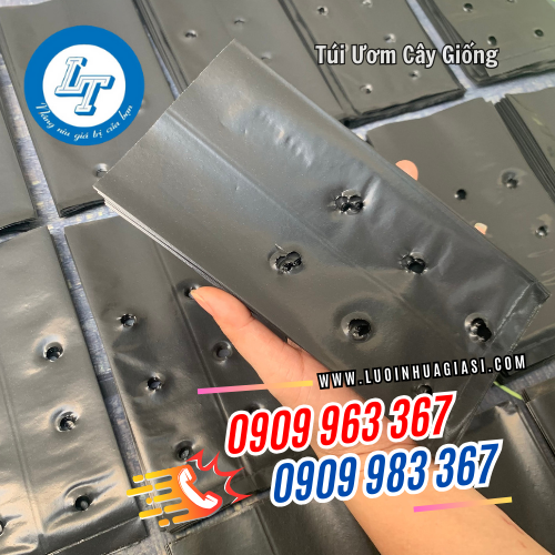 bán sỉ túi ươm cây giống giá rẻ sẵn kho bán sỉ túi ươm cây giống giá rẻ sẵn kho