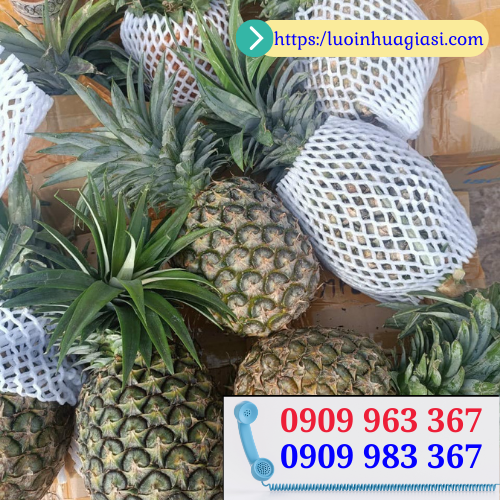 Bán sỉ xốp lưới bao bọc trái cây cho nhà vườn giá tốt xốp lưới màu trắng bao quả thơm