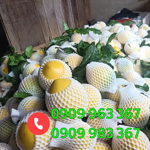 Bán xốp lưới bao trái cây rau củ giá rẻ tại TPHCM xốp bọc dưa