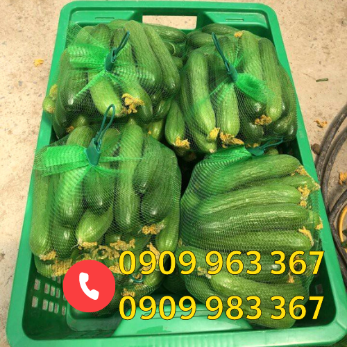 Báo giá sỉ túi lưới nhựa đủ kích thước màu sắc túi lưới nhựa màu xanh 40cm đựng dưa leo