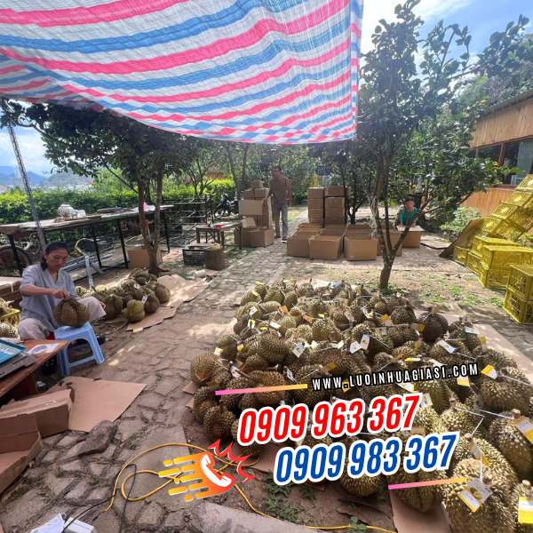 bạt nhựa kẻ sọc bạt nhựa che nắng mưa