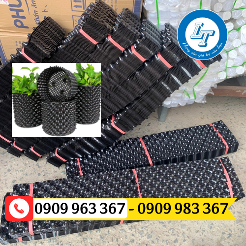 MUA TẤM NHỰA LÀM CHẬU CÂY Ở ĐÂU GIÁ RẺ, UY TÍN bầu ươm cây thông minh