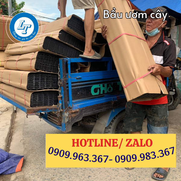 GIÁ SỈ TẤM NHỰA BÓ BẦU CÂY THEO KÍCH THƯỚC bầu ươm cây