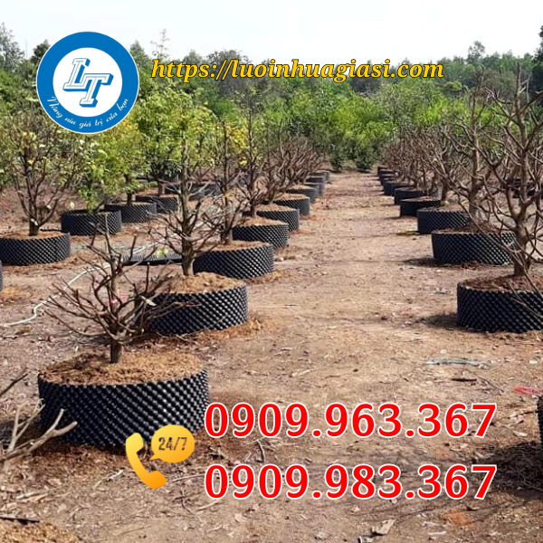 CÔNG TY SẢN XUẤT BẦU ƯƠM CÂY GIÁ RẺ TẠI TPHCM tấm nhựa bó bầu cây