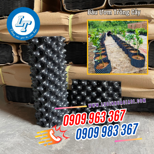 bầu ươm trồng cây nâng cao năng suất cây trồng bầu ươm trồng cây nâng cao năng suất cây trồng