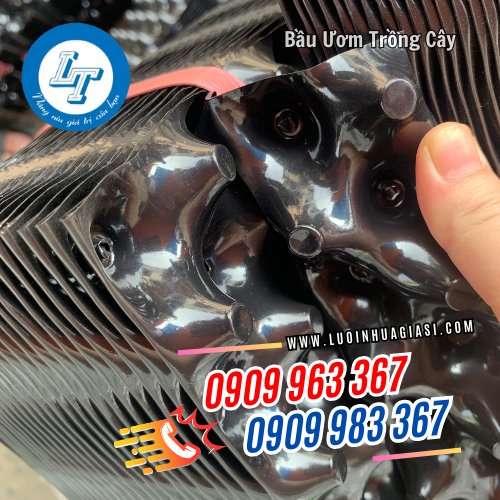 bầu ươm trồng cây xếp chồng lên nhau bầu ươm trồng cây xếp chồng lên nhau