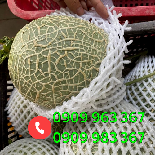 Bỏ sỉ xốp lưới bọc trái cây màu vàng, trắng, xanh, đỏ xốp lưới màu trắng bao dưa lưới