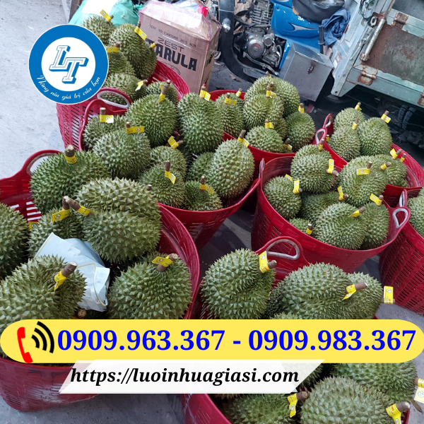 SỌT NHỰA TRÒN LỚN GIÁ SỈ RẺ cần xé nhựa đựng sầu riêng
