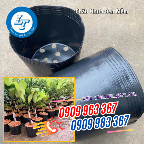 chậu nhựa đen mềm trồng cây giống, hoa vạn thọ chậu nhựa đen mềm trồng cây giống, hoa vạn thọ