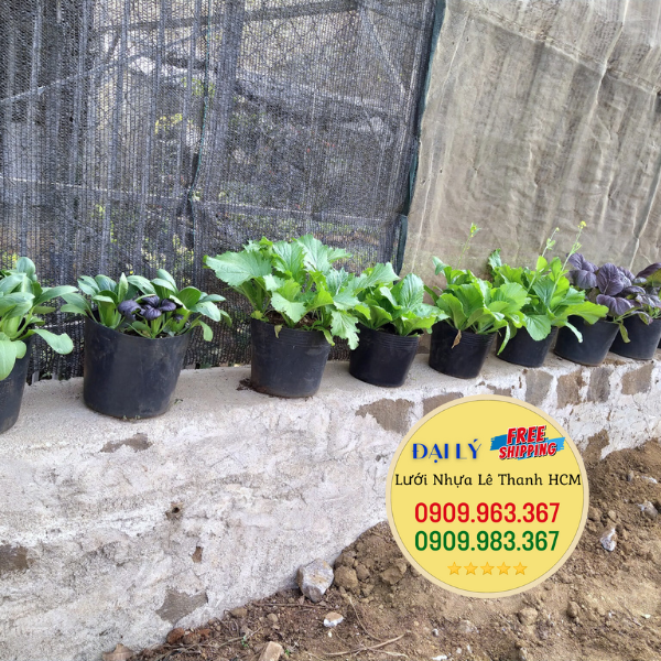 Báo giá sỉ chậu nhựa đen trồng cây đủ kích cỡ tận xưởng chậu nhựa đen