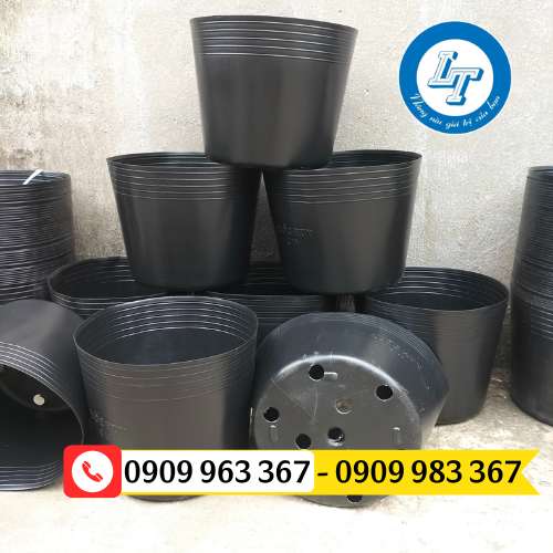 Mua chậu nhựa trồng cây giá sỉ rẻ TPHCM chậu nhựa đen