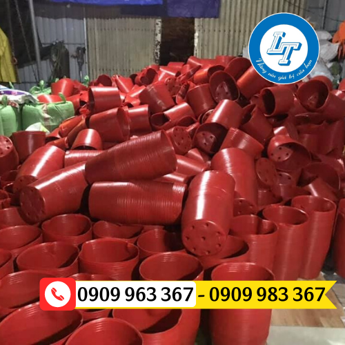 Chậu nhựa ươm cây giống mua ở đâu giá rẻ chậu nhựa đỏ