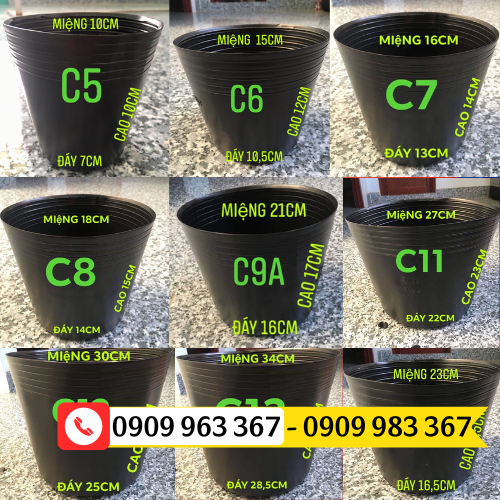 Mua chậu nhựa trồng cây giá sỉ rẻ TPHCM chậu nhựa đen ươm cây