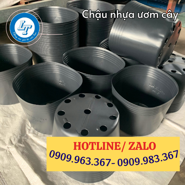 TÌM MUA CHẬU NHỰA DẺO TRỒNG CÂY GIÁ SỈ RẺ TẠI TPHCM chậu nhựa đen
