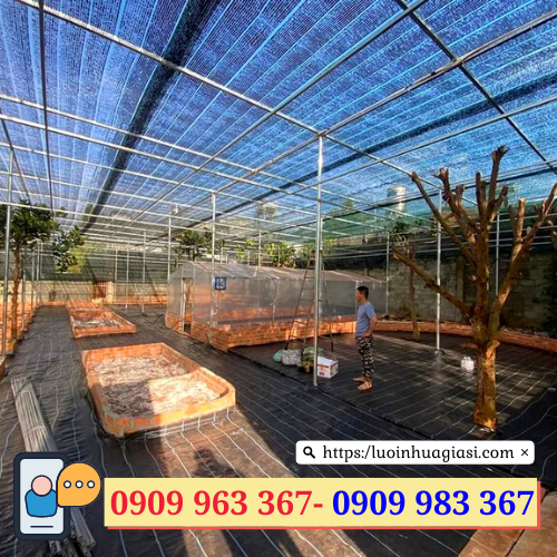 Lưới che nắng giá bao nhiêu tiền? lưới che nắng thái lan