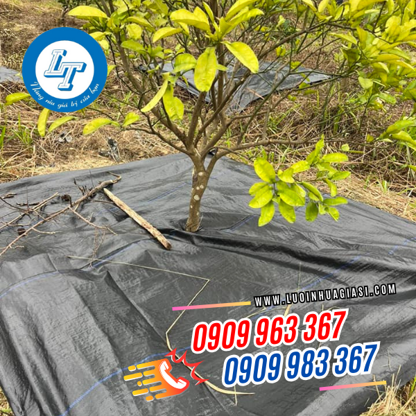 TÌM MUA BẠT PHỦ GỐC CÂY CHỐNG CỎ MỌC GIÁ TỐT bạt phủ gốc cây chống cỏ mọc