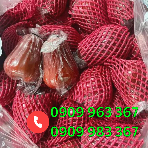 Cơ sở sản xuất bọc xốp trái cây giá rẻ tại TPHCM xốp lưới bao mận màu đỏ