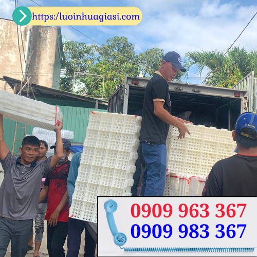 Báo giá tấm nhựa lót sàn chăn nuôi tận gốc đại lý sàn nhựa lê thanh tphcm