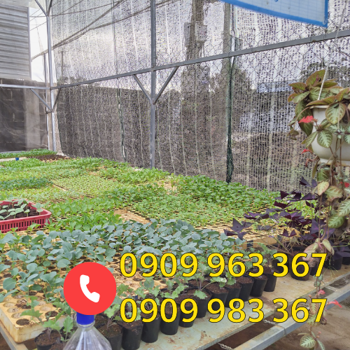 Đại lý sỉ lẻ lưới nhựa che nắng giá rẻ uy tín tại TPHCM lưới che nắng vườn rau
