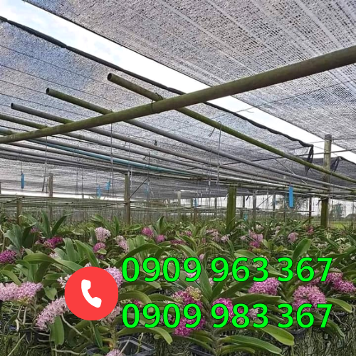 Đại lý sỉ lẻ lưới nhựa che nắng giá rẻ uy tín tại TPHCM lưới che lan
