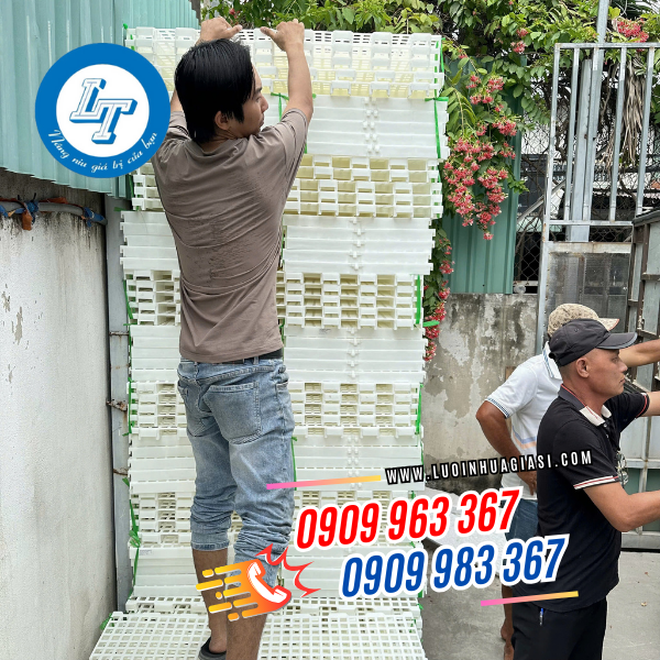 sàn nhựa trắng 50x100 cm lỗ vuông đại lý sàn nhựa lót chuồng chăn nuôi