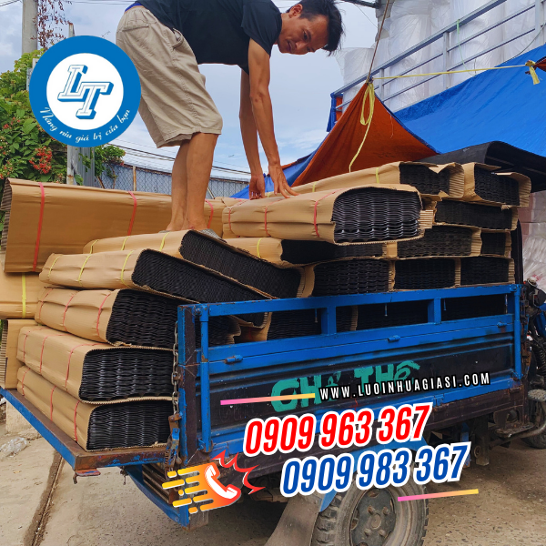 BẦU ƯƠM CÂY THÔNG MINH