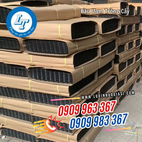 giá sỉ bầu ươm trồng cây rẻ theo số lượng giá sỉ bầu ươm trồng cây rẻ theo số lượng