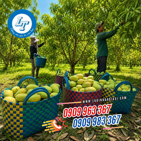 GIỎ ĐAN NHỰA THỦ CÔNG NHIỀU SIZE GIÁ SỈ TẬN XƯỞNG GIỎ ĐAN NHỰA THỦ CÔNG NHIỀU SIZE GIÁ SỈ TẬN XƯỞNG