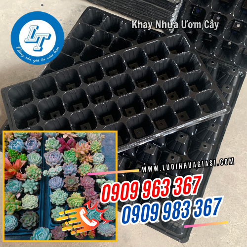 khay nhựa ươm cây dễ sử dụng khay nhựa ươm cây dễ sử dụng