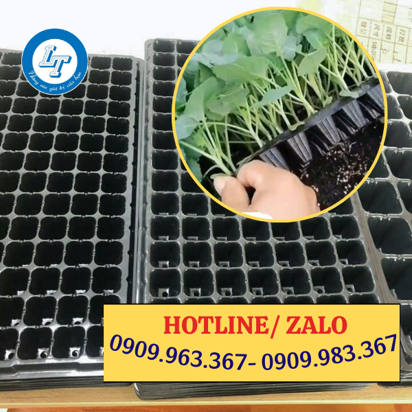 TÌM MUA KHAY NHỰA ƯƠM HẠT GIỐNG GIÁ RẺ TPHCM khay nhựa ươm hạt giống