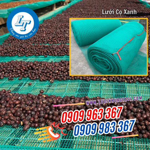 lưới cọ xanh dùng phơi khô nông sản lưới cọ xanh dùng phơi khô nông sản