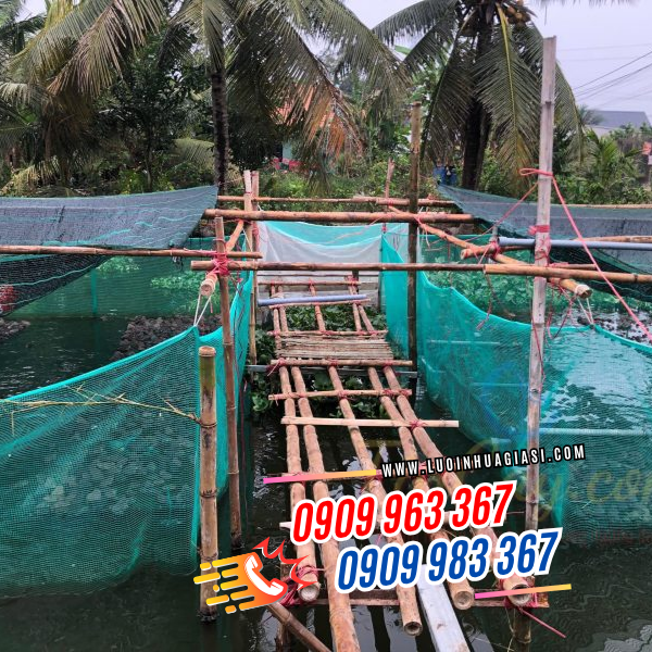 TÌM MUA LƯỚI CƯỚC XANH MAY VÈO NUÔI THUỶ SẢN GIÁ SỈ RẺ TÌM MUA LƯỚI CƯỚC XANH MAY VÈO NUÔI THUỶ SẢN GIÁ SỈ RẺ