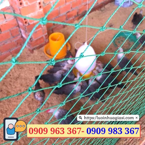 Lưới nhựa rào gà vịt giá rẻ TPHCM lưới cước rào vây chuồng gà vịt