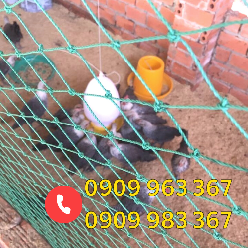 Lưới cước rào gà vịt giá sỉ lưới cước rào chuồng nuôi gà vịt