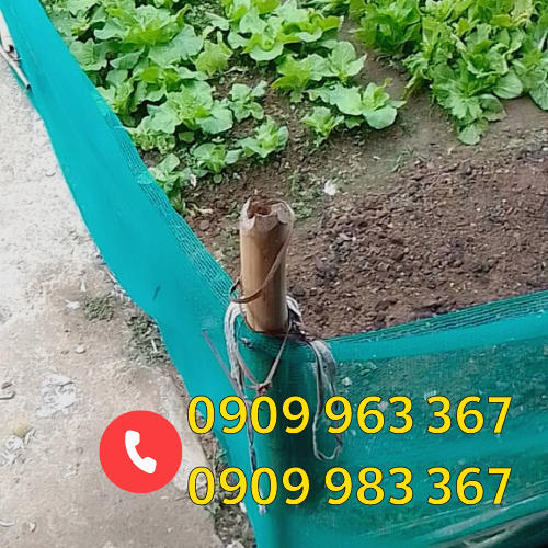 Lưới cước ô vuông giá sỉ rẻ lưới cước ô vuông rào vườn rau