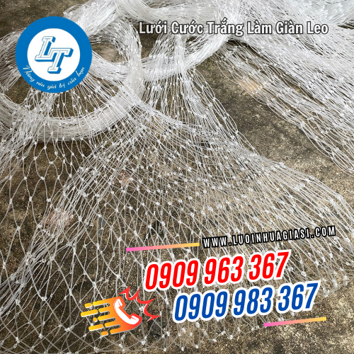 lưới cước trắng làm giàn cây leo lưới cước trắng làm giàn cây leo