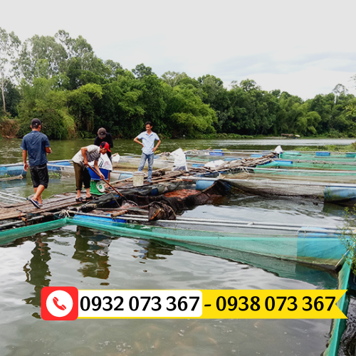 Lưới nuôi cá lồng giá rẻ tại TPHCM lưới làm lồng cá